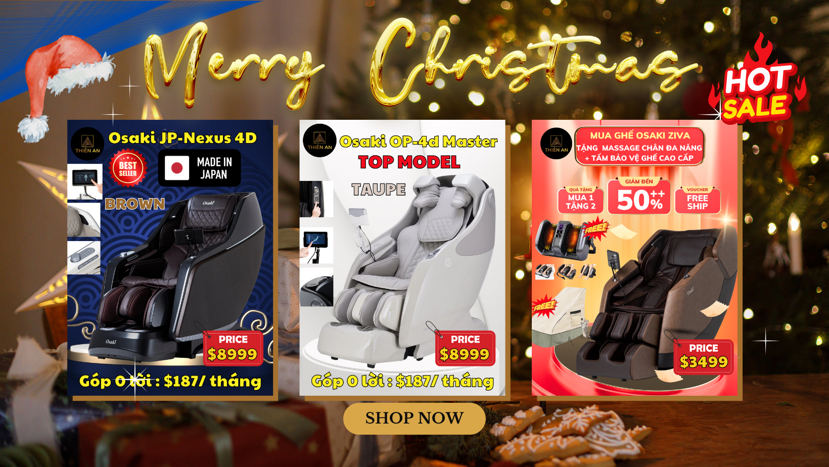 What Are You Looking For (26)