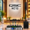 Qsc Kc12 Luxury Audio Showcase